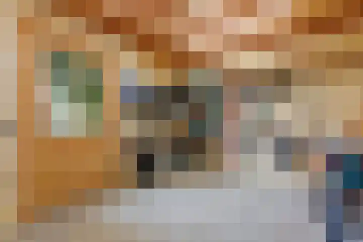 Tinbergenplantsoen 16 Papendrecht thumbnail 65