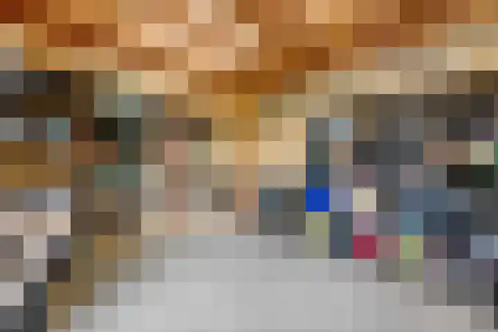 Tinbergenplantsoen 16 Papendrecht thumbnail 66