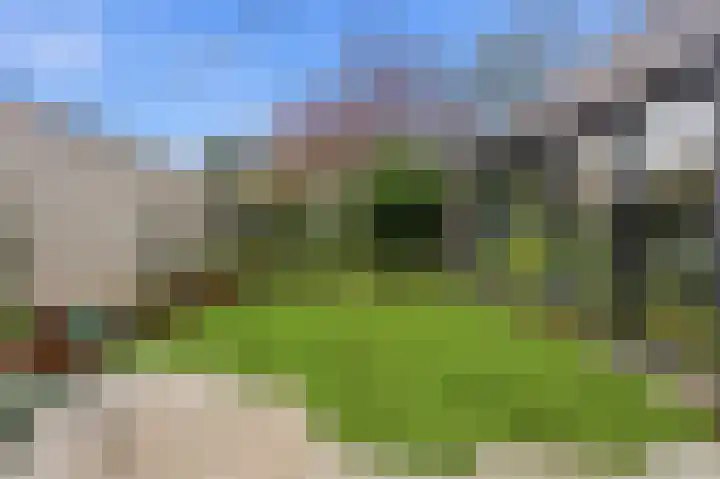 Tinbergenplantsoen 16 Papendrecht thumbnail 69