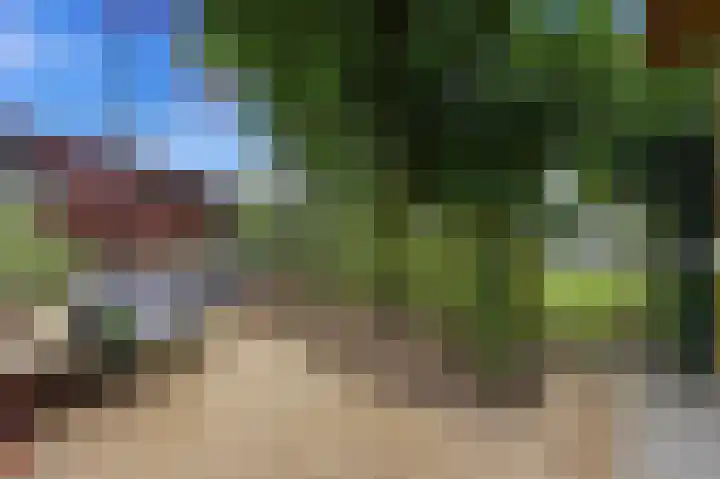 Tinbergenplantsoen 16 Papendrecht thumbnail 73