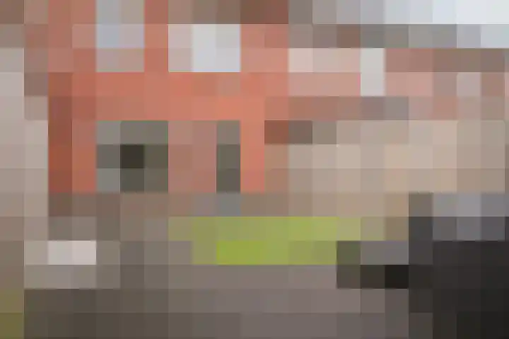 Tinbergenplantsoen 39 Zaltbommel thumbnail 23