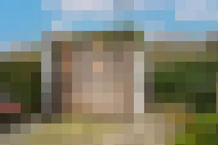 Tinbergenplantsoen 49 Zaltbommel thumbnail 29
