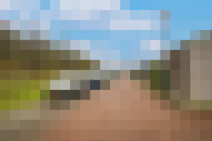 Tinbergenplantsoen 49 Zaltbommel thumbnail 41