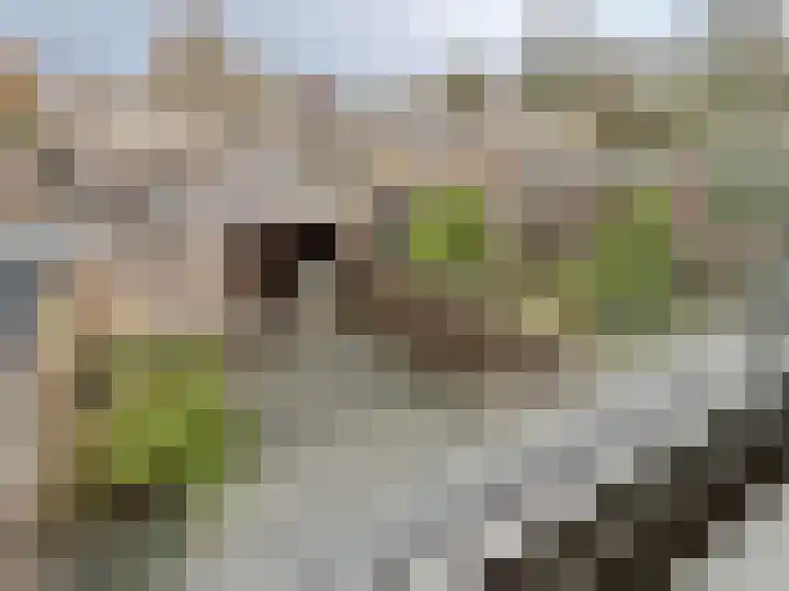 Tindijk 21 Roosendaal thumbnail 11