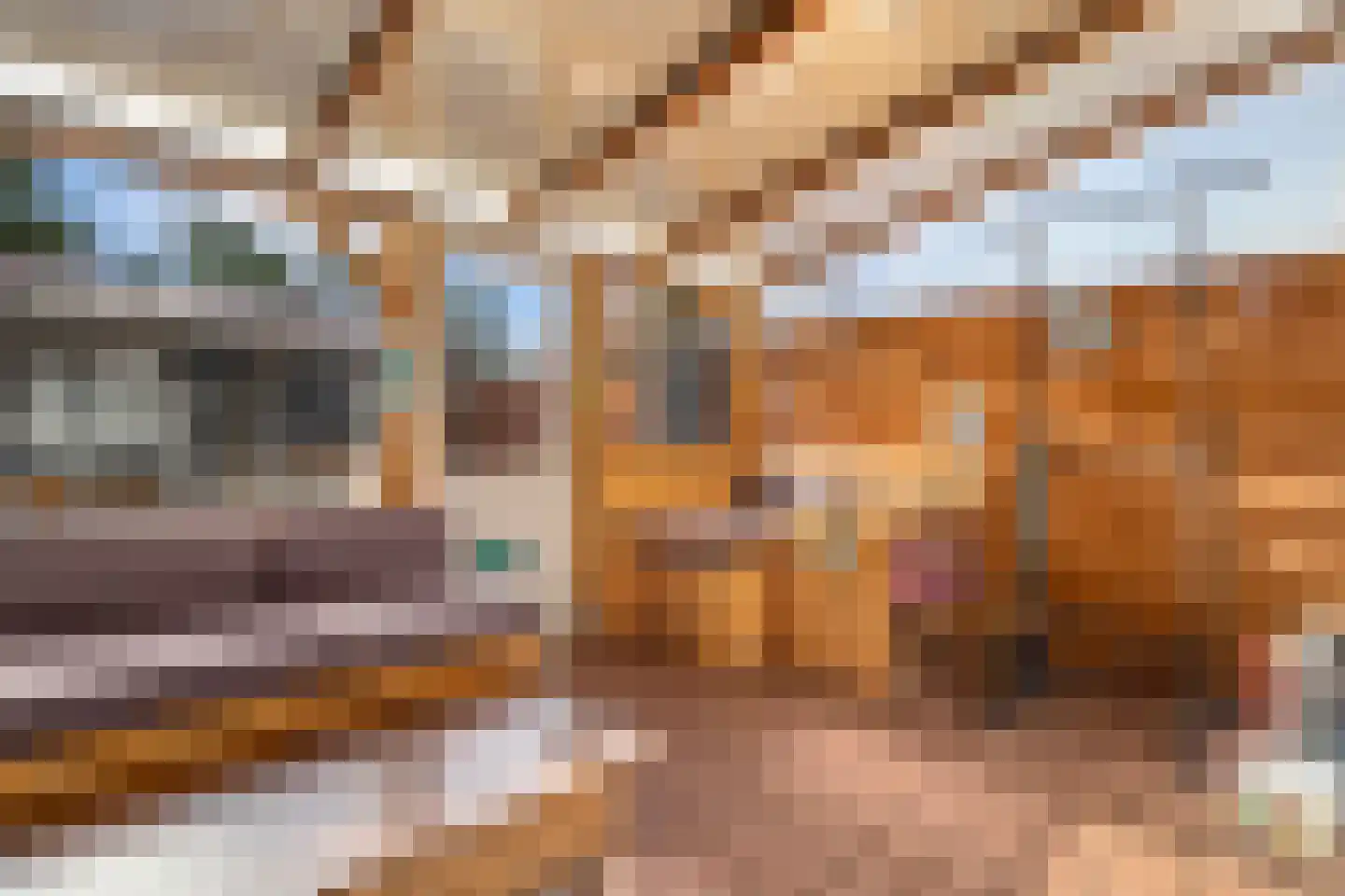 Tine Marcushof 11 Castricum thumbnail 28