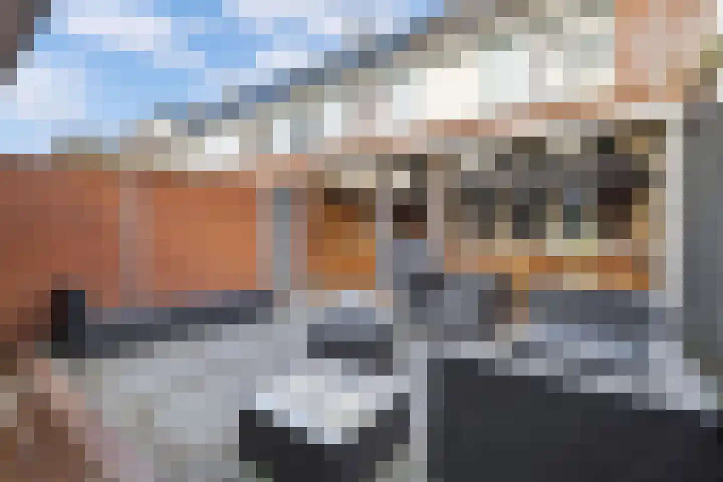 Tine Marcushof 11 Castricum thumbnail 31