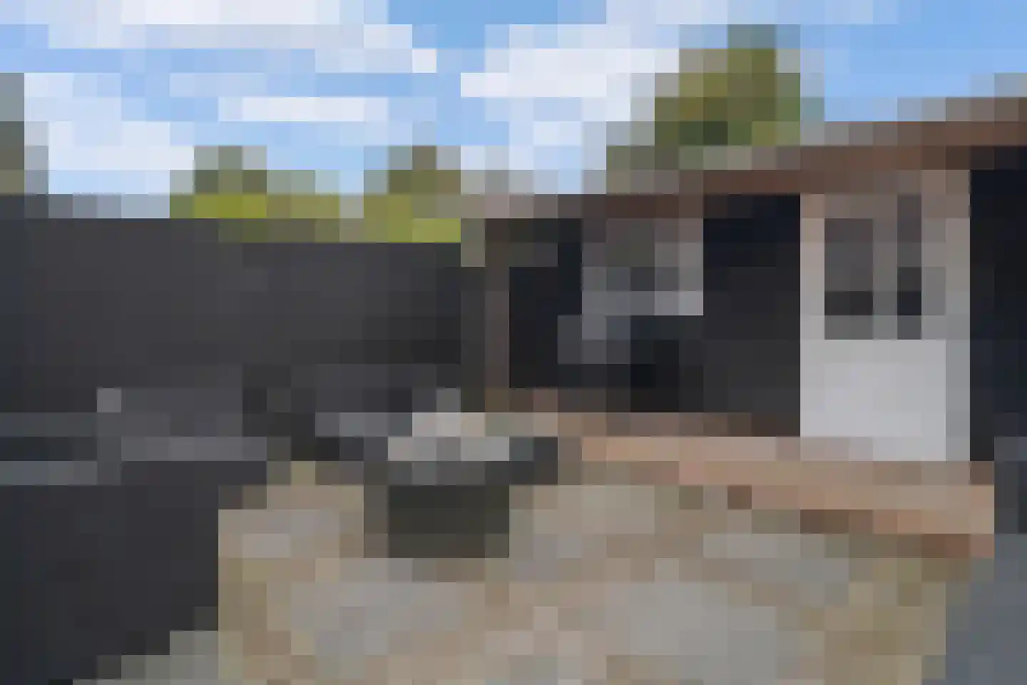 Tine Marcushof 11 Castricum thumbnail 34