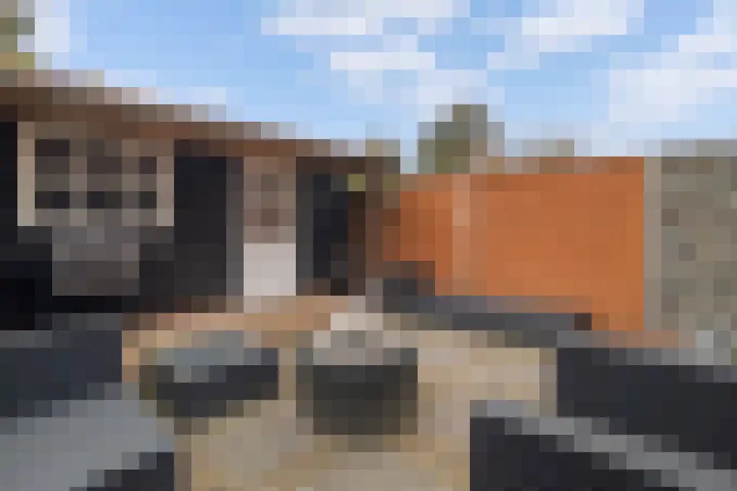 Tine Marcushof 11 Castricum thumbnail 35