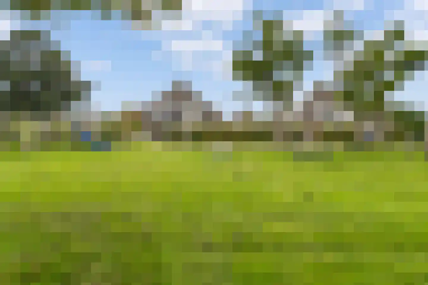 Tine Marcushof 11 Castricum thumbnail 39