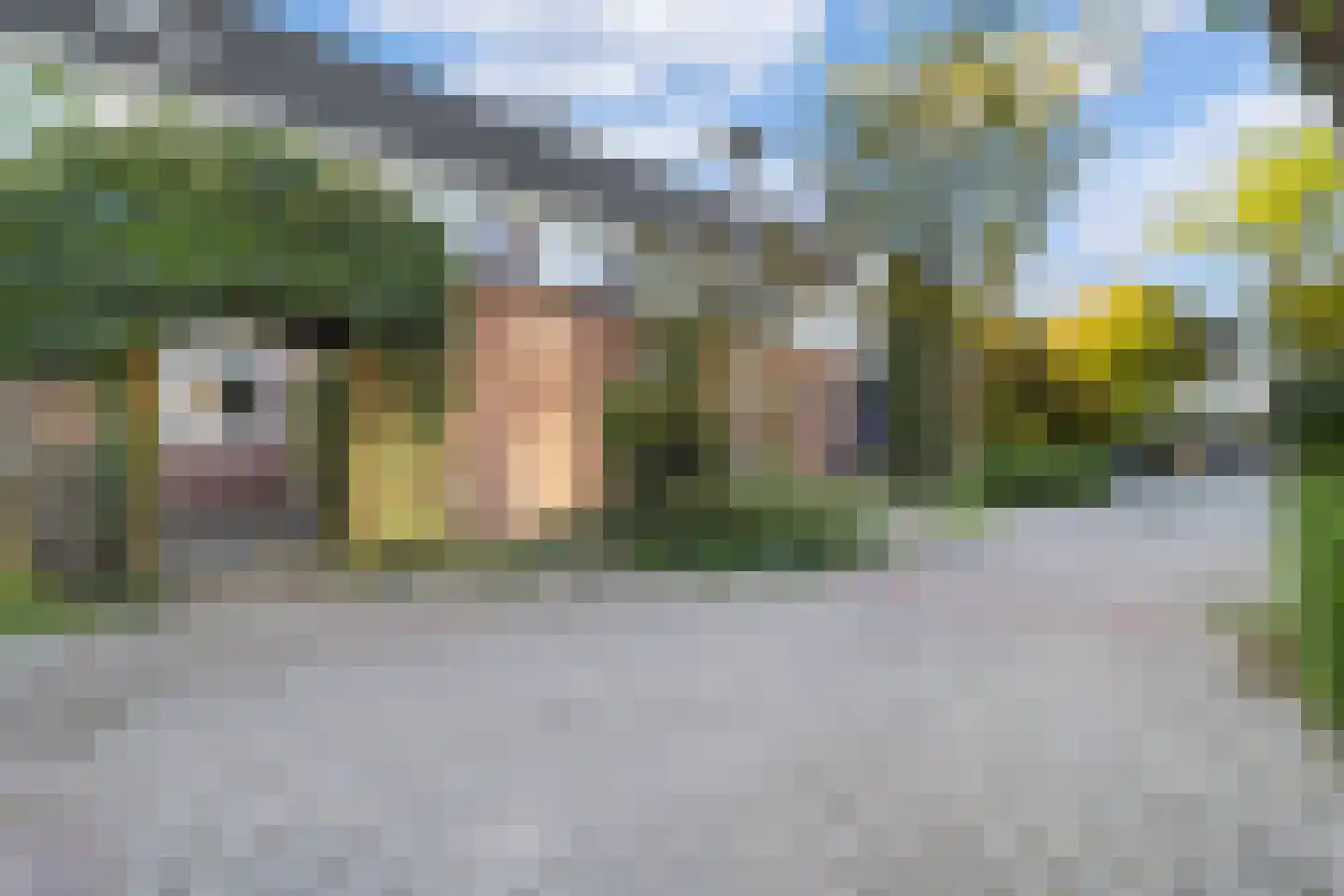 Tine Marcushof 11 Castricum thumbnail 7