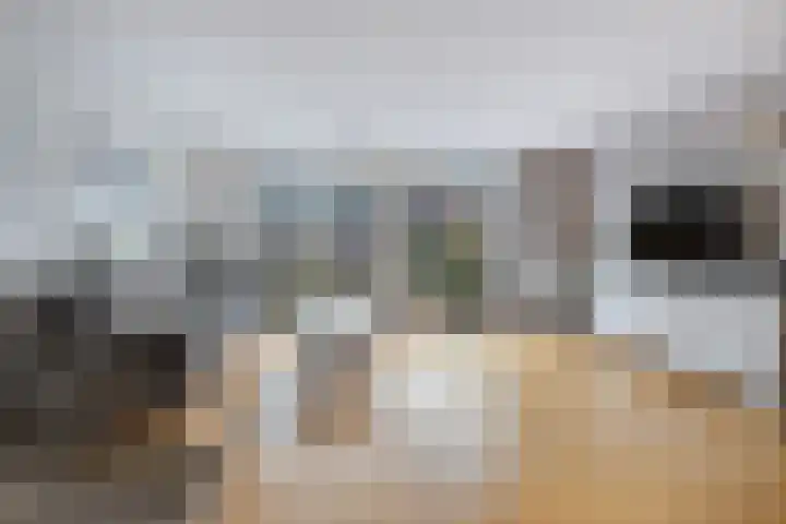 Tine Tammesplantsoen 7 Heerhugowaard thumbnail 13
