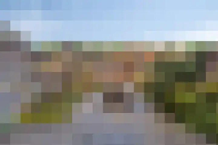 Tine Tammesplantsoen 7 Heerhugowaard thumbnail 32