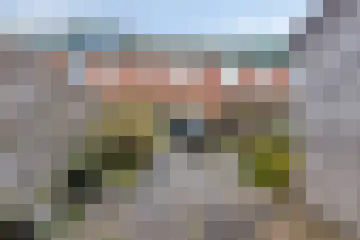 Tine Tammesplantsoen 7 Heerhugowaard thumbnail 33
