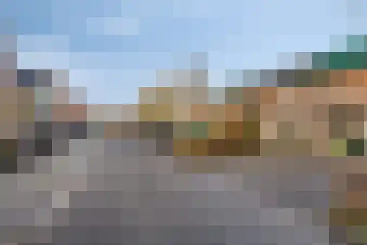 Tine Tammesplantsoen 7 Heerhugowaard thumbnail 34