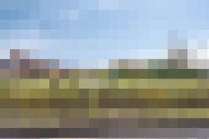 Tine Tammesplantsoen 7 Heerhugowaard thumbnail 36