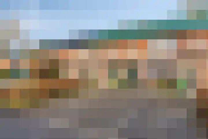 Tine Tammesplantsoen 7 Heerhugowaard thumbnail 8