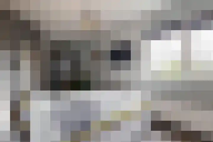Tine van Dethstraat 15 Leiden thumbnail 23