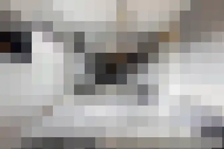 Tine van Dethstraat 15 Leiden thumbnail 25