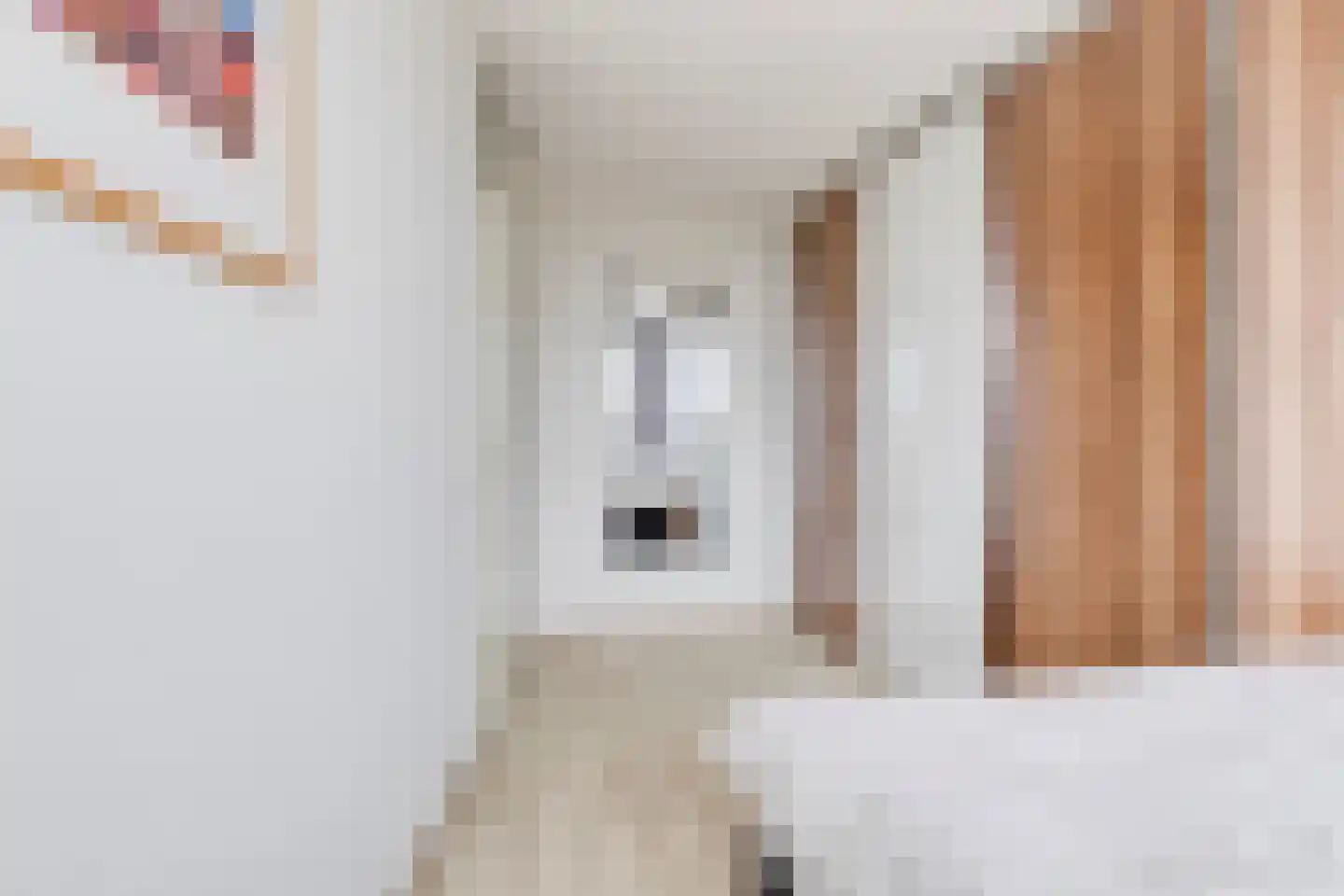 Tine van Dethstraat 61 Leiden thumbnail 21