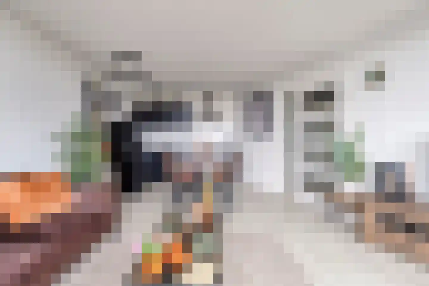 Tine van Dethstraat 61 Leiden thumbnail 8