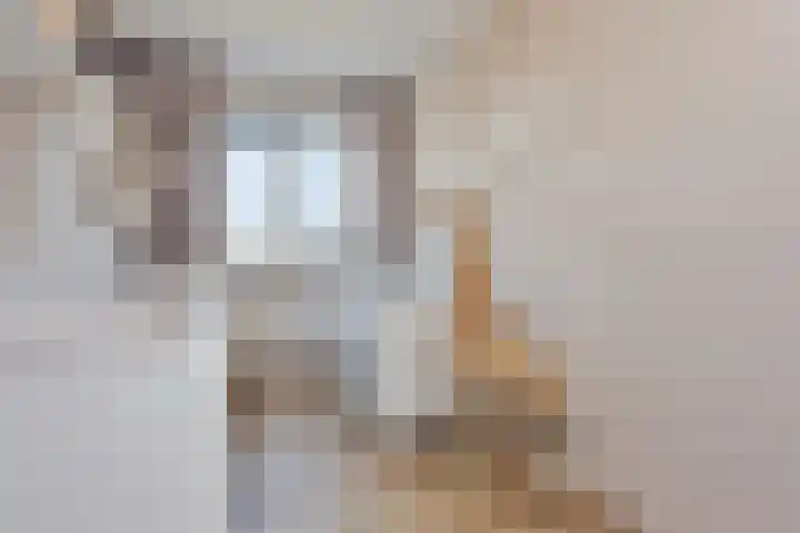 Tine van Dethstraat 63 Leiden thumbnail 18