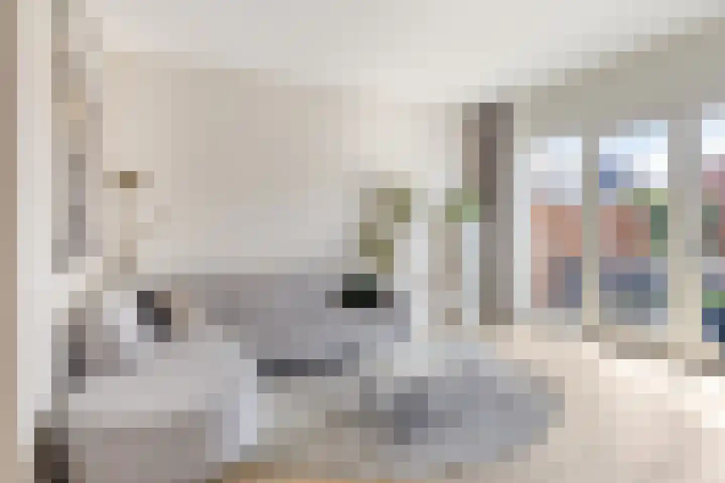 Tine Vastbinderhof 19 Lent thumbnail 13