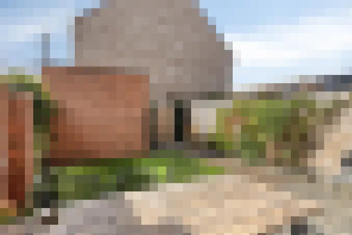 Tine Vastbinderhof 19 Lent thumbnail 24