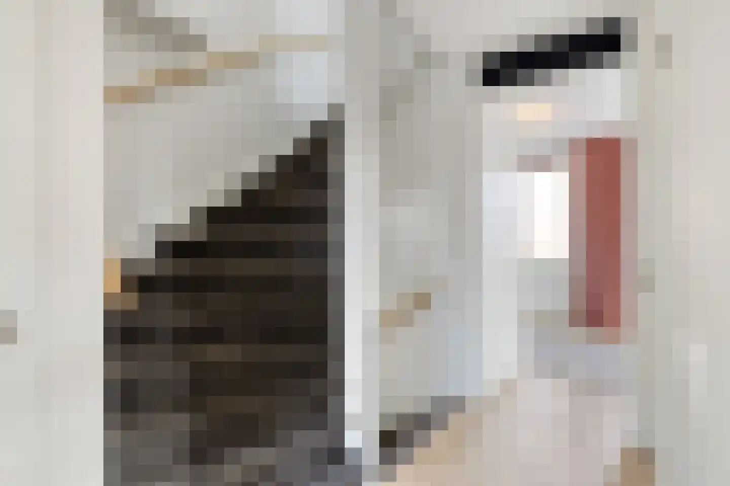 Tine Vastbinderhof 19 Lent thumbnail 35
