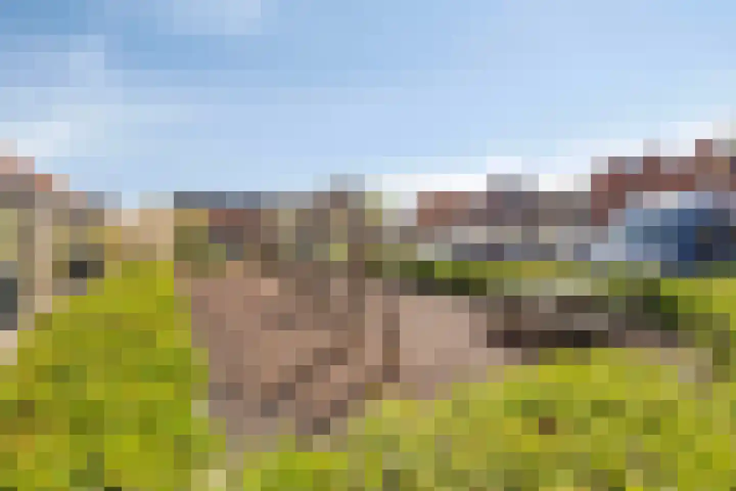 Tine Vastbinderhof 19 Lent thumbnail 48