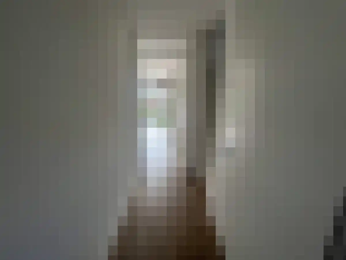 Tine Vastbinderhof Lent foto 3