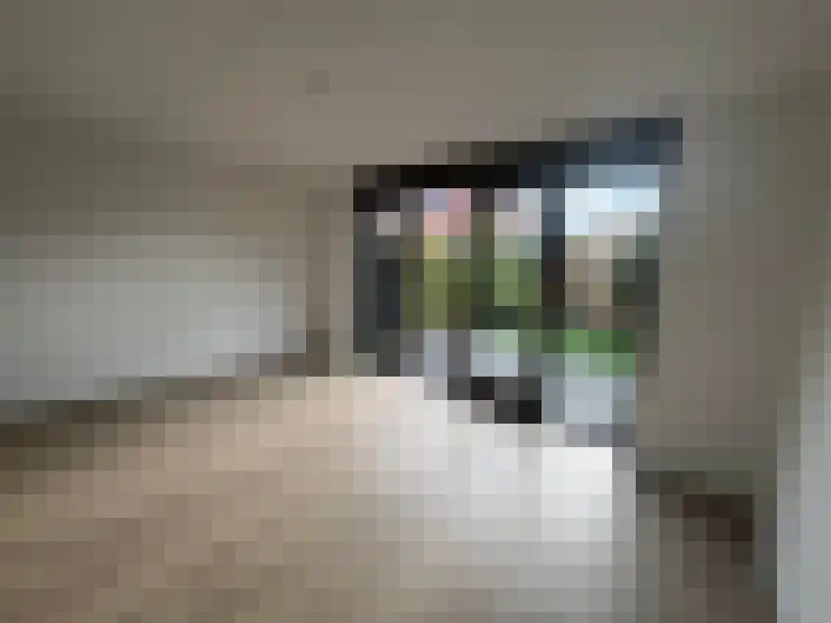 Tine Vastbinderhof Lent thumbnail 6