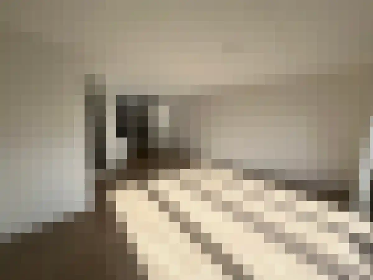 Tine Vastbinderhof Lent thumbnail 7