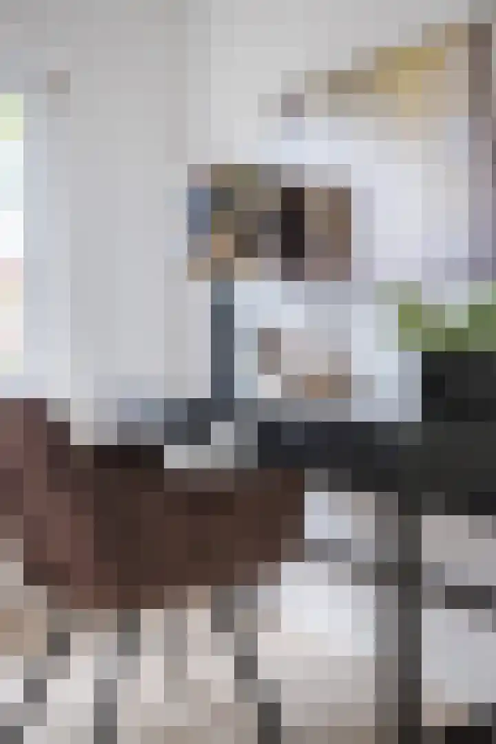Tinelstraat 156 Eindhoven thumbnail 12