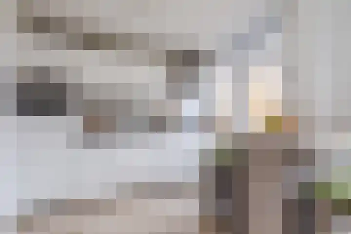 Tinelstraat 156 Eindhoven thumbnail 15
