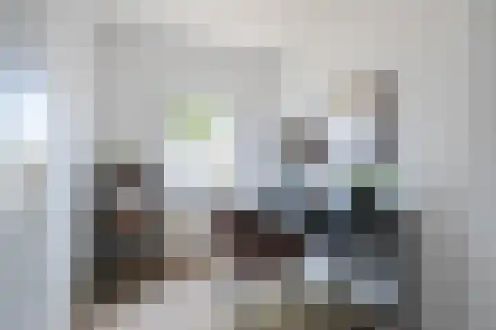 Tinelstraat 156 Eindhoven thumbnail 23