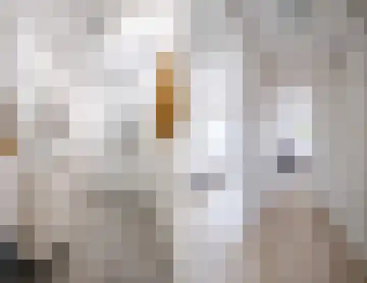 Tinelstraat 156 Eindhoven thumbnail 30