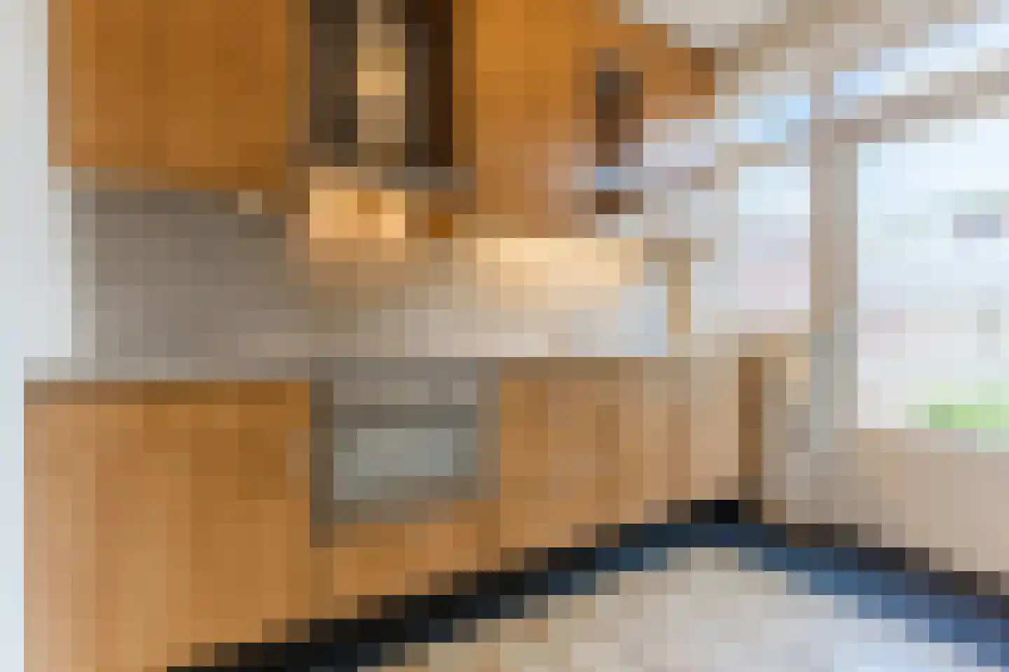 Tinelstraat 186 Eindhoven thumbnail 15
