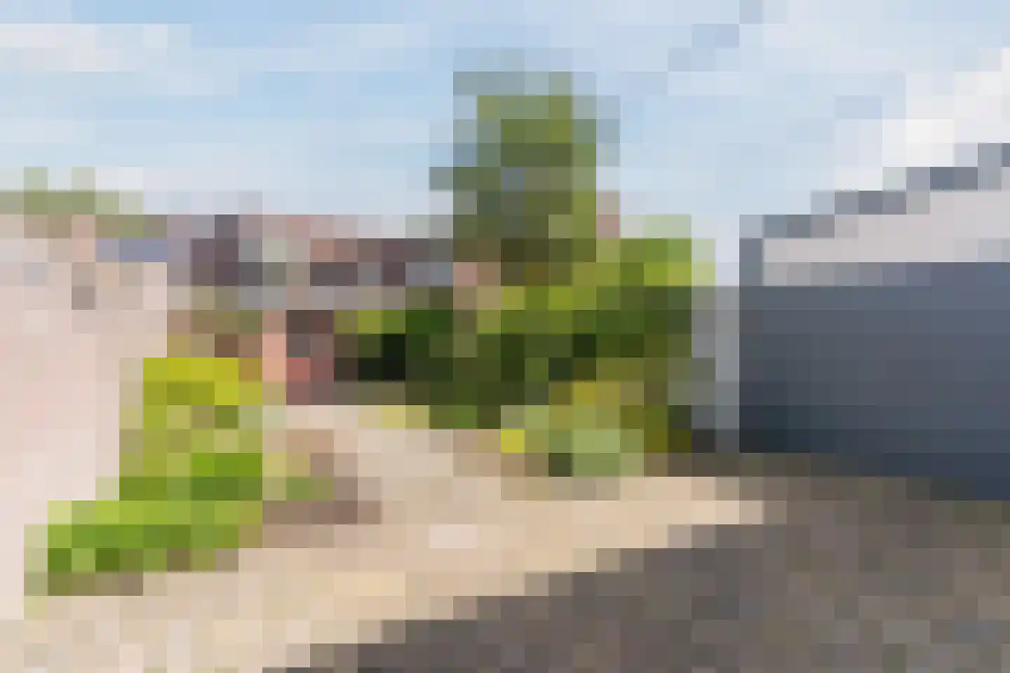 Tinelstraat 186 Eindhoven thumbnail 42