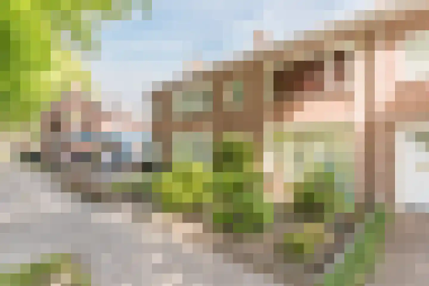 Tinelstraat 186 Eindhoven thumbnail 51
