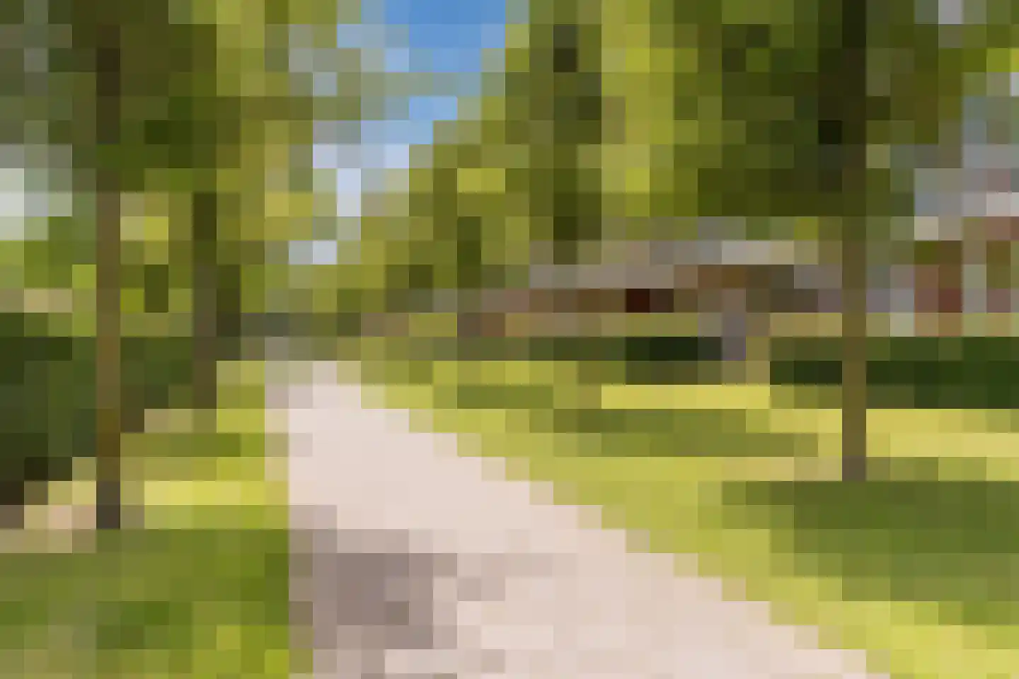Tinelstraat 186 Eindhoven thumbnail 52