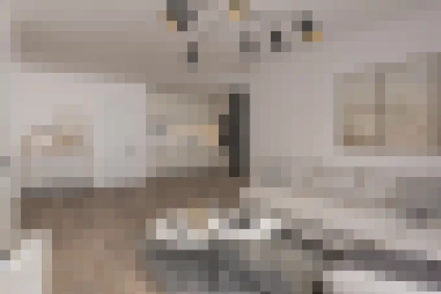 Tinelstraat 2 Eindhoven thumbnail 4
