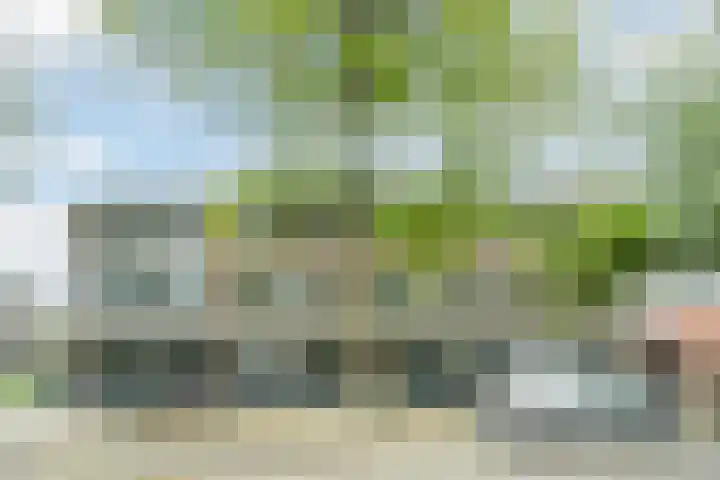 Tinelstraat 5 D Eindhoven thumbnail 24