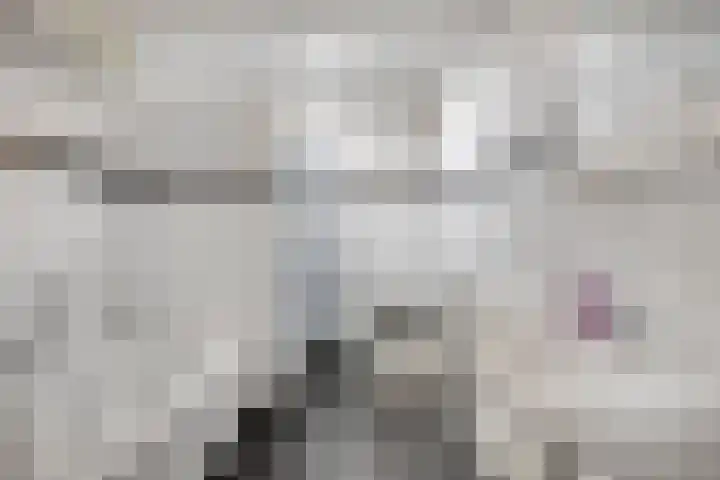 Tinelstraat 5 F Eindhoven thumbnail 19