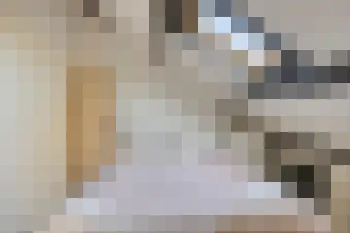 Tinelstraat 5 G Eindhoven thumbnail 19