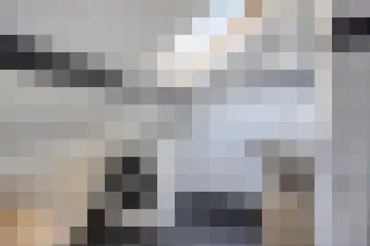 Tinelstraat 5 G Eindhoven thumbnail 21