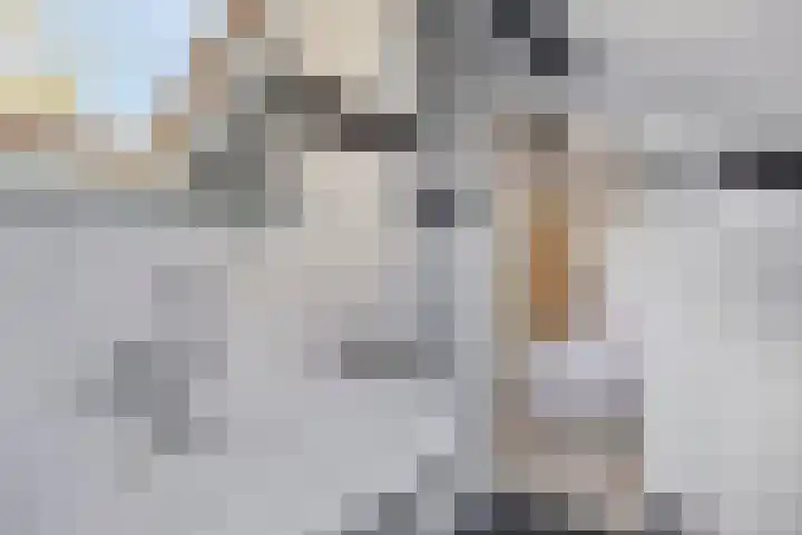 Tinelstraat 5 G Eindhoven thumbnail 24