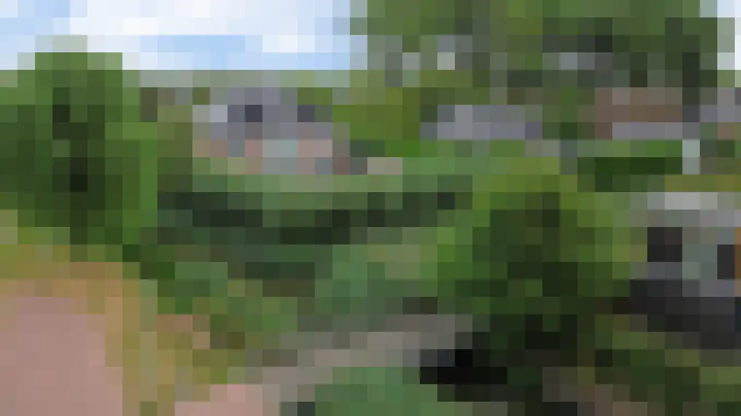 Tingieterij 1 Barendrecht thumbnail 43