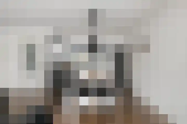 Tingietersdonk 493 Apeldoorn thumbnail 11