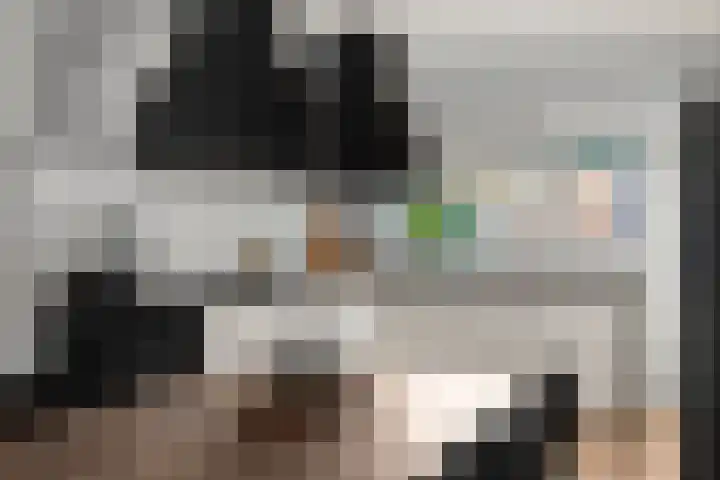 Tingietersdonk 493 Apeldoorn thumbnail 12
