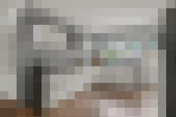 Tingietersdonk 493 Apeldoorn thumbnail 13